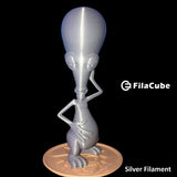 Silver 1.75mm 1KG FilaCube 3D Printer PLA 2 filament